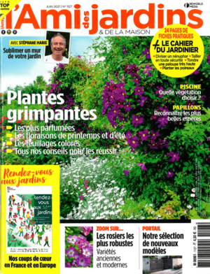 actualité Horiazl Juin 2021